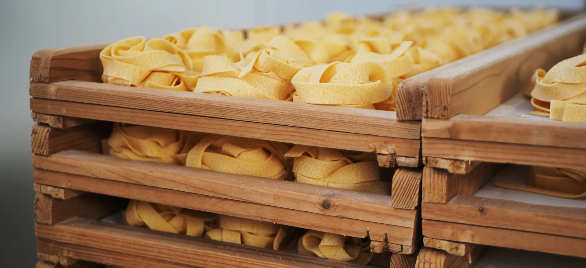 Nidi di pasta secca all'uovo davanti alle colline Nidi di pasta secca all'uovo davanti alle colline