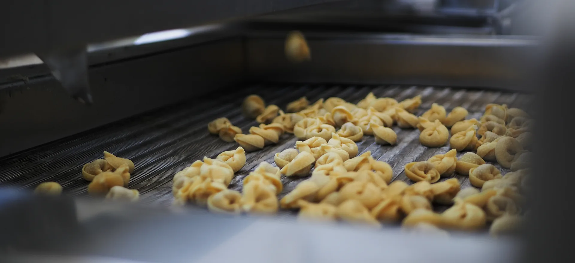 Pasta fresca all'uovo nel piatto Pasta fresca all'uovo nel piatto