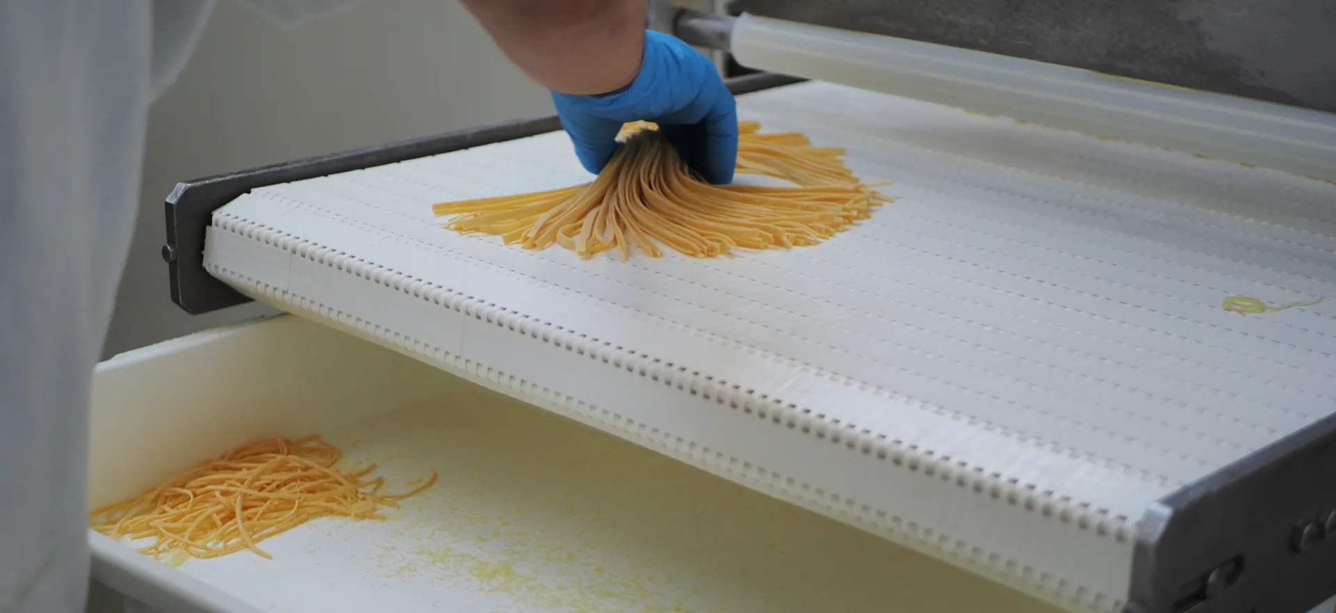 Tagliatelle all'uovo arrotolate sulla forchetta Tagliatelle all'uovo arrotolate sulla forchetta