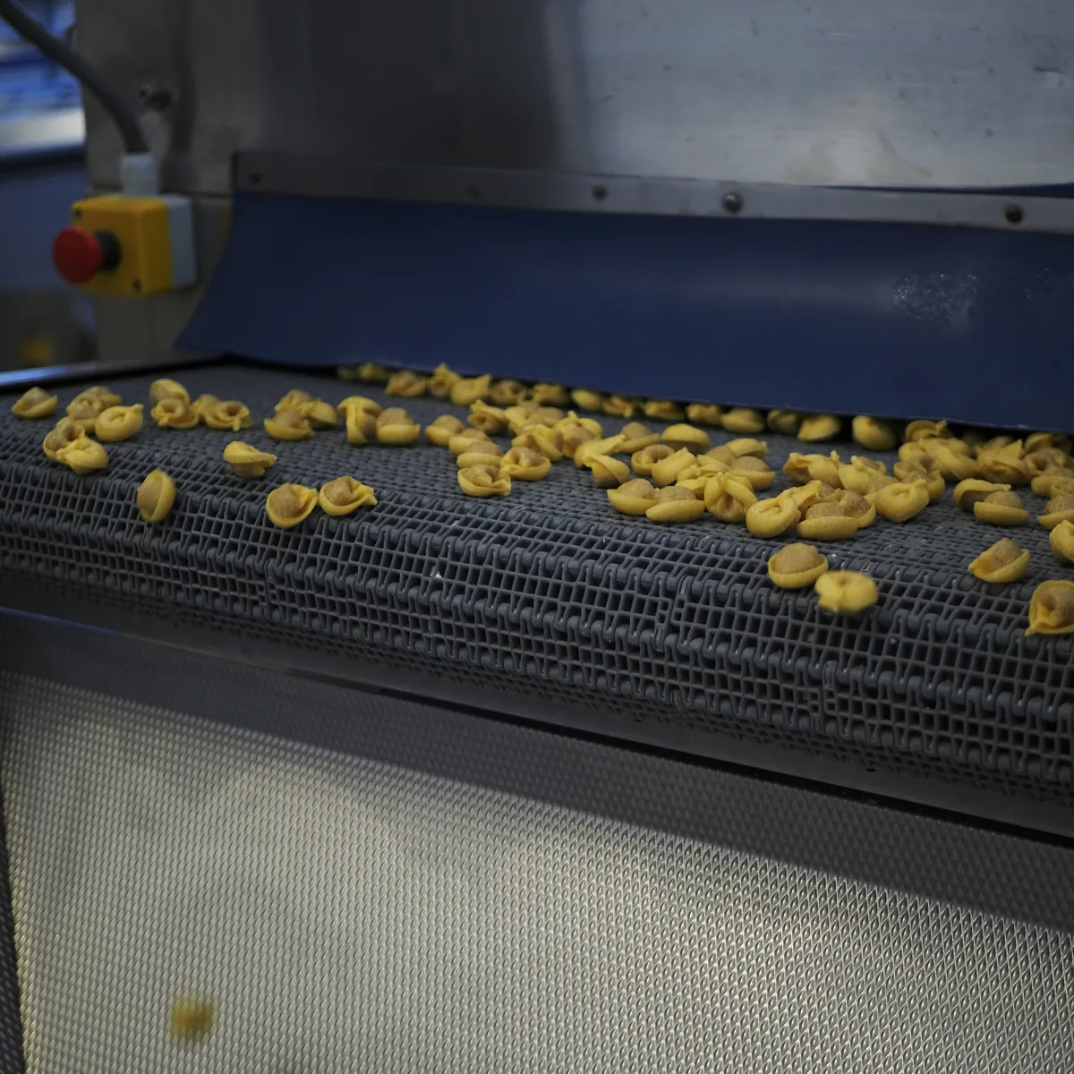 Cappelletti freschi all'uovo ripieni di carne Cappelletti freschi all'uovo ripieni di carne