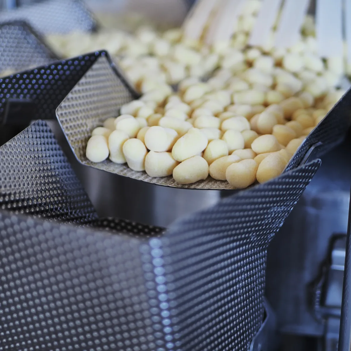 Gnocchi di patate freschi Gnocchi di patate freschi