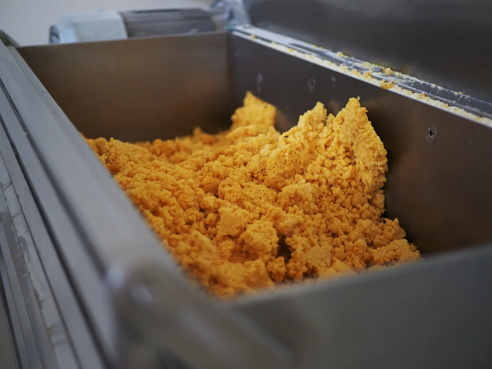Impastatrice con l'impasto giallo di semola e uova Impastatrice con l'impasto giallo di semola e uova