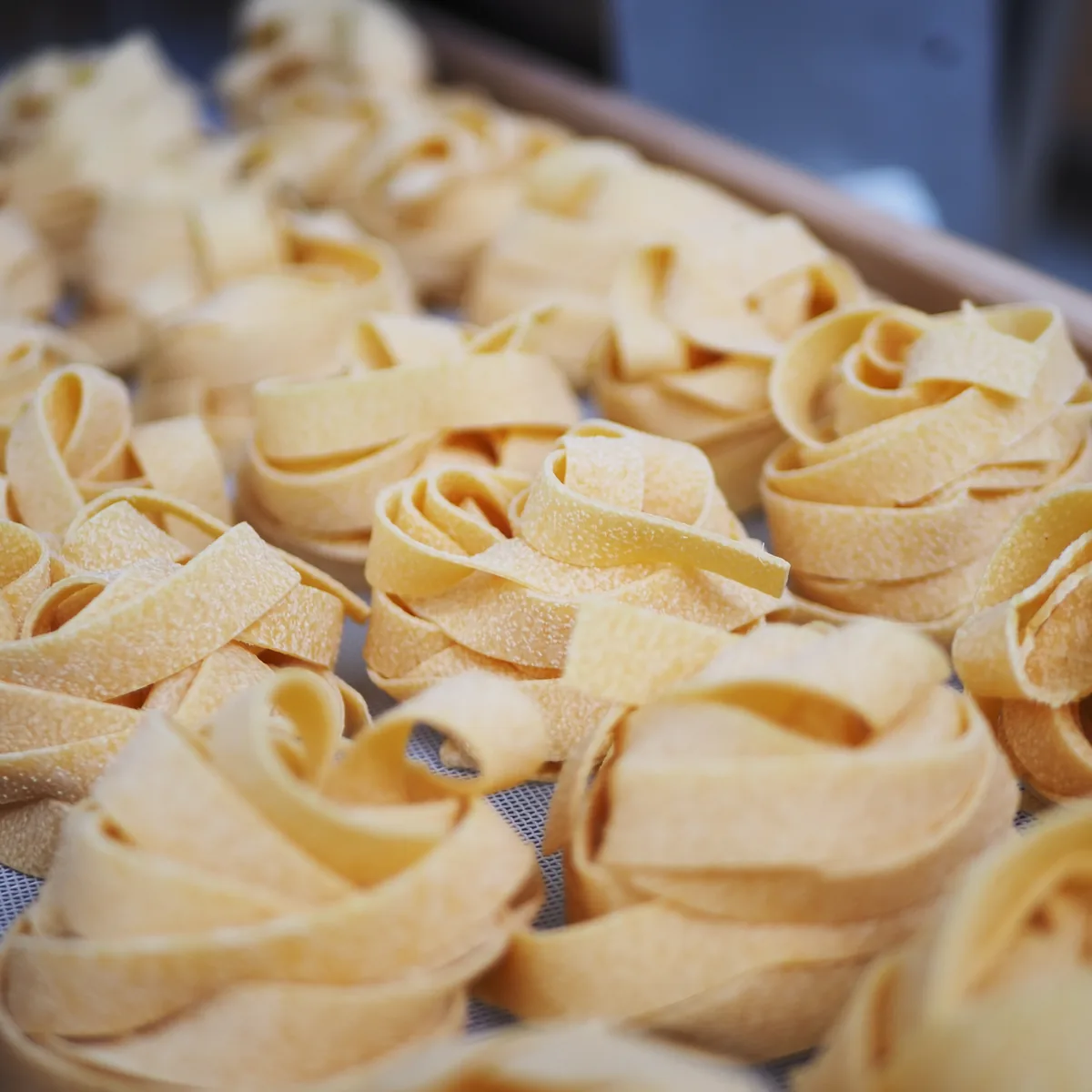 Nido di pappardelle secche all'uovo